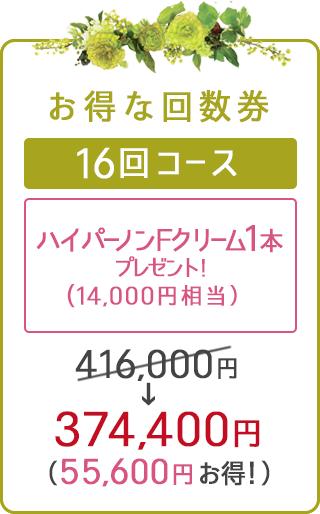 回数券・16回コース
