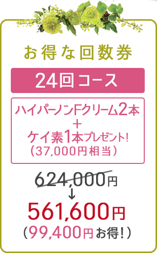 回数券・24回コース