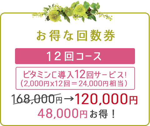 回数券・12回コース