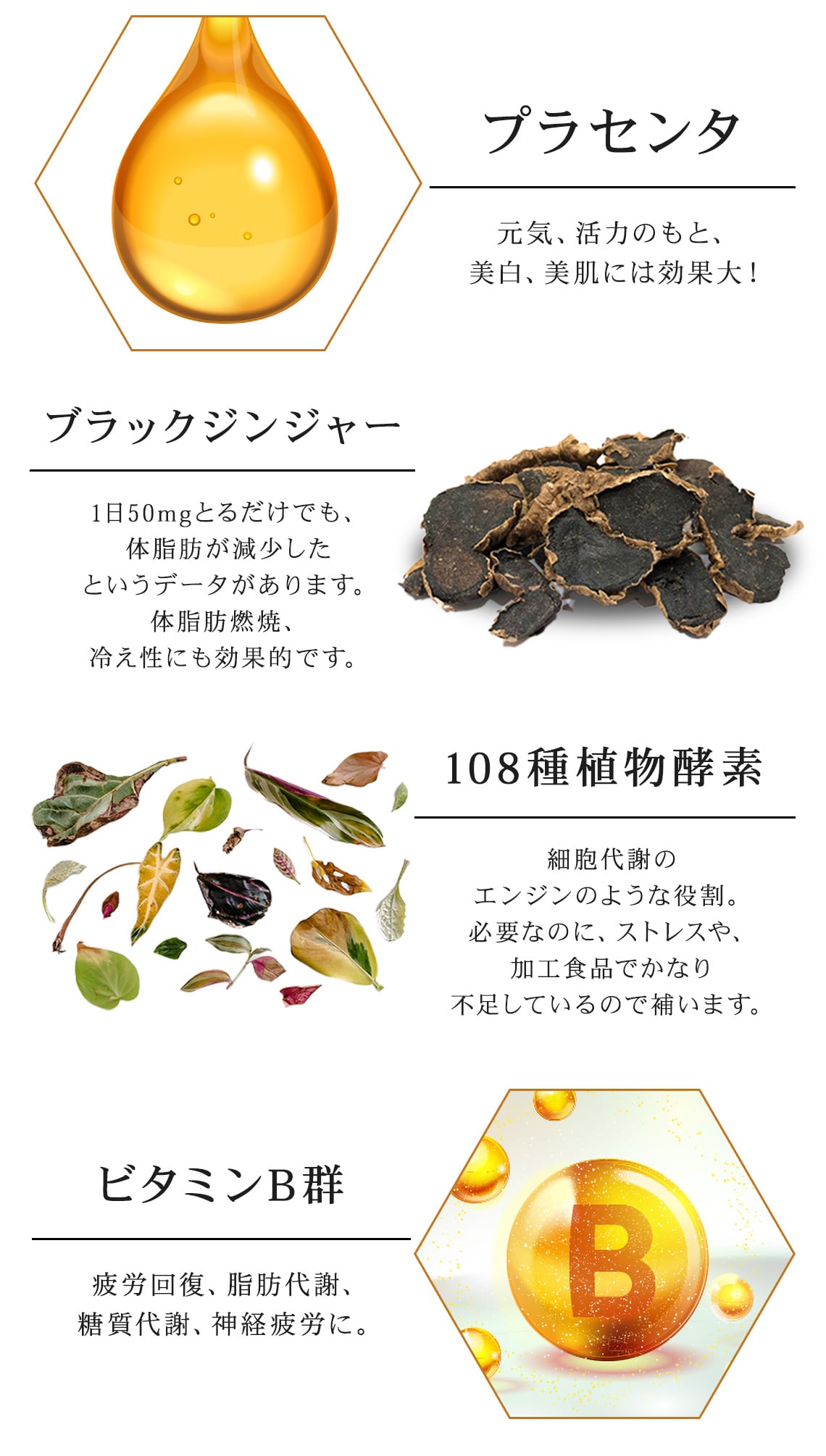 成分詳細