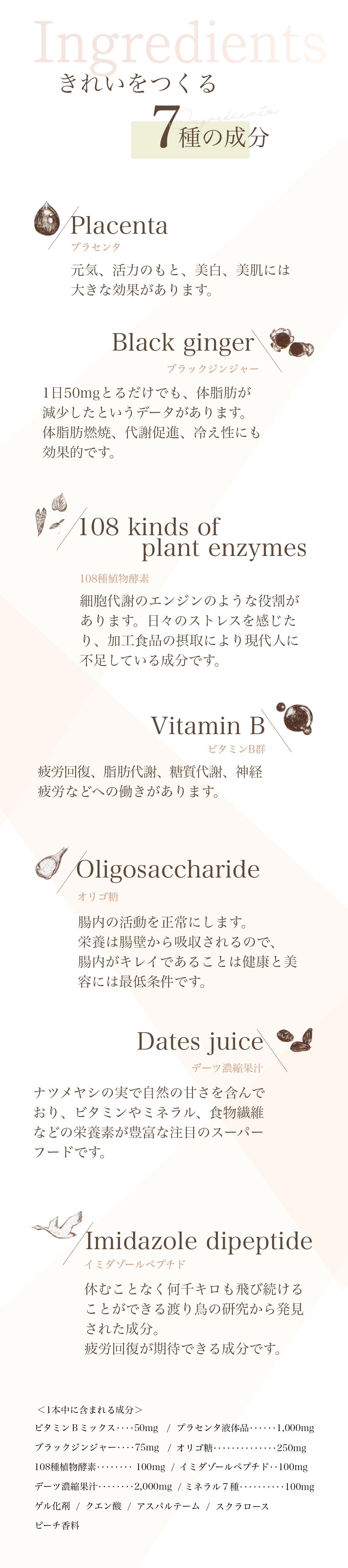 ７つの成分