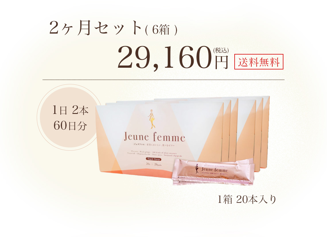 ６箱 2ヶ月セット