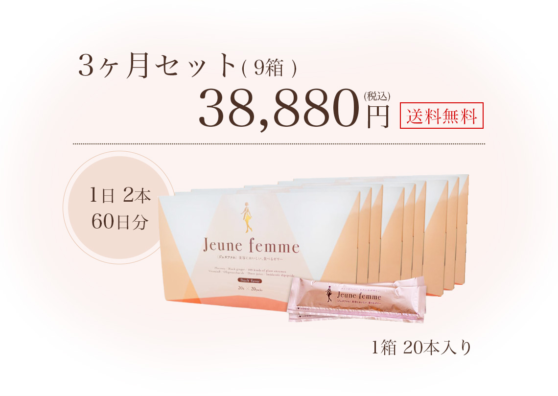 ９箱 3ヶ月セット