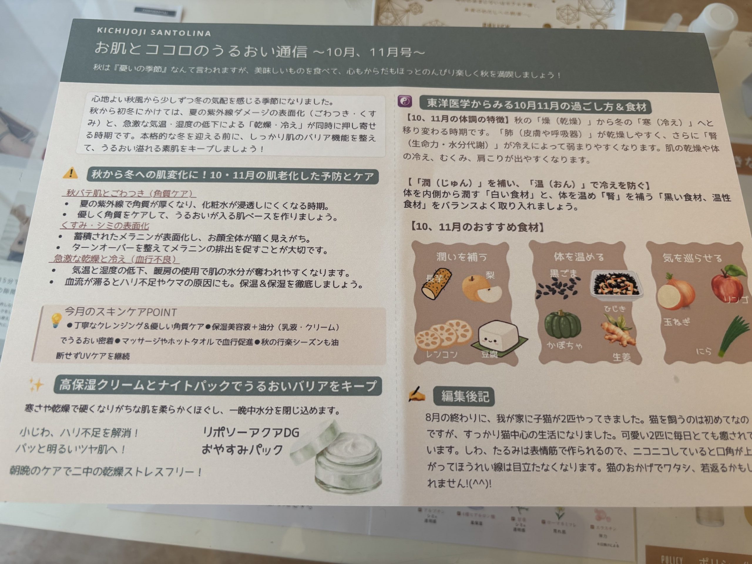 通信の10月号ができました