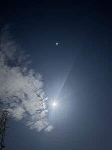 流れ星が見れました