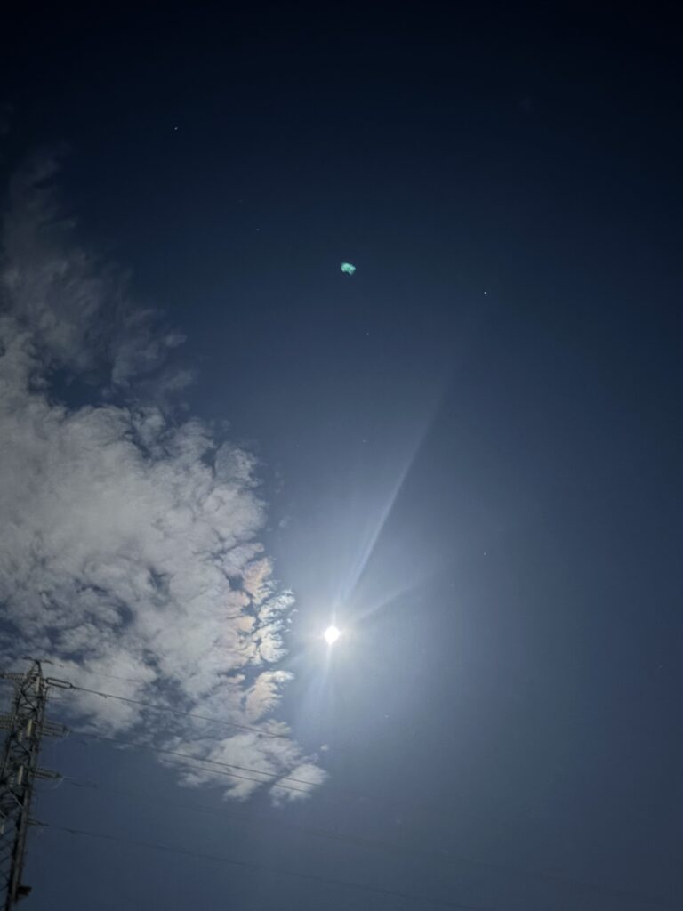 流れ星が見れました